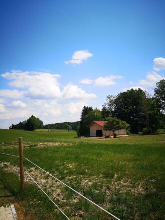 https://images.bs.ds-srv.net/objekt_pics/obj_full_34249_005.jpg