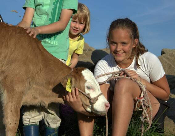 Landwirtschaft hautnah erleben. Kinder Kälbchen