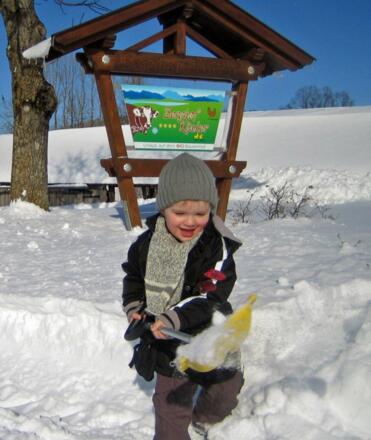 Fleissiger Winterdienst Kind schaufelt Schnee