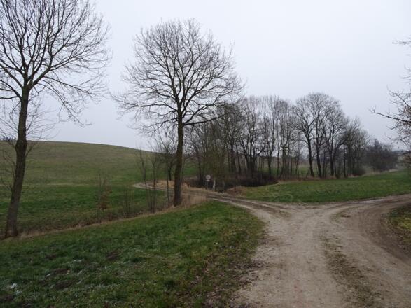 Abzweigung bei Gleißenbach (links fahren)
