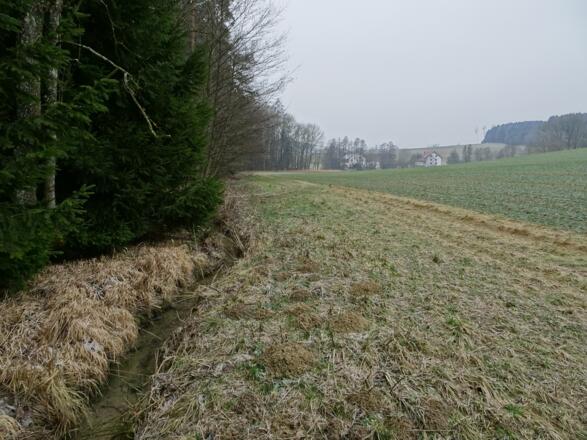 Weglos nach Zacherlmühle