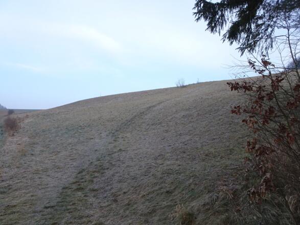 Erstes Steilstück nach dem Rosental mit 18° (=32%)