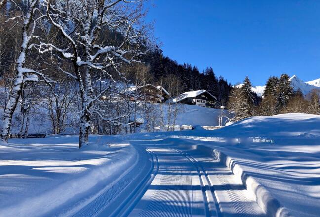 2019 jan 20 Mittelberg Loipe    op Site KWT