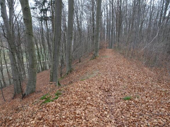 Trail bei Sallmannsberg