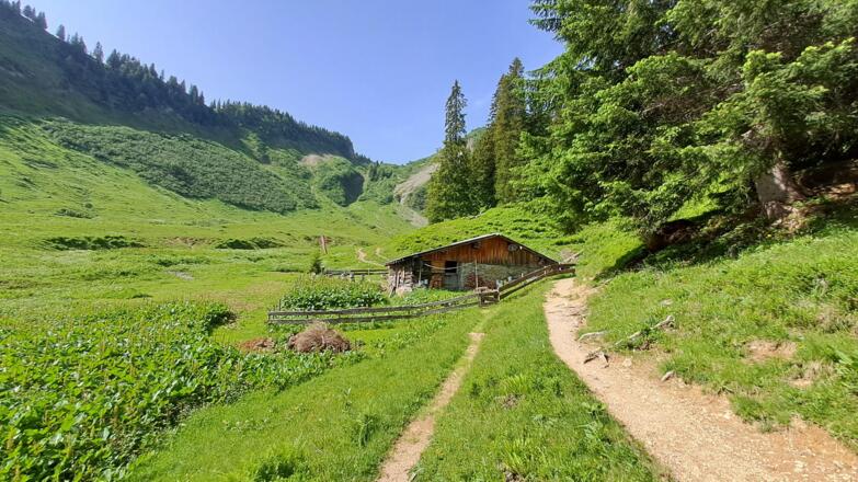 Obere Walmendinger Alpe Sommer
