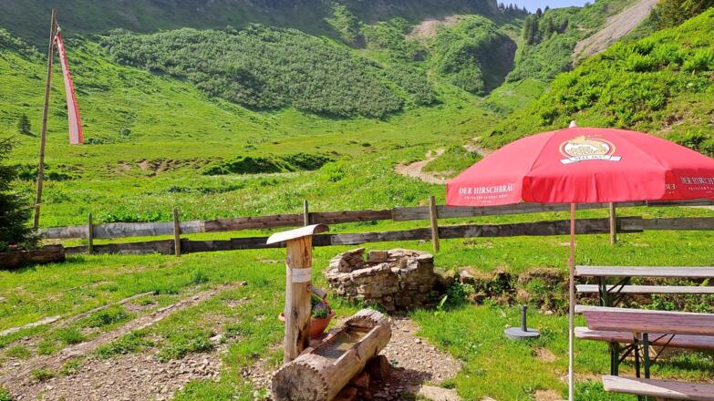 Obere Walmendinger_Alpe Sommer