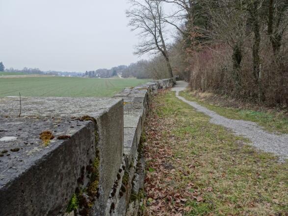 Die Mauer vom Spitzelberger