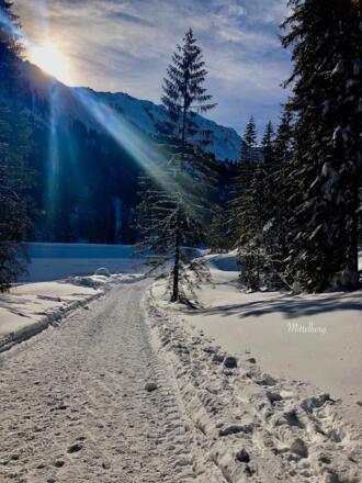 2019 jan 23 Mittelberg wandelpad sneeuw    op Site