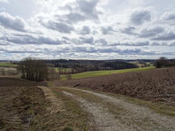 Abfahrt nach Zacherlmühle