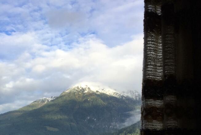 view