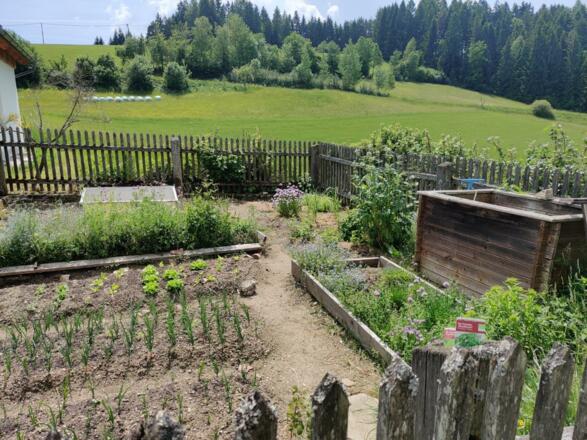 Gemüsegarten Biohof Viertl
