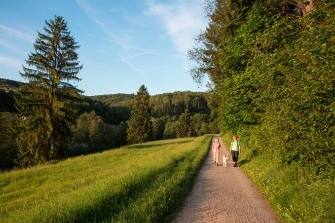 Wandern im RÄUBERLAND