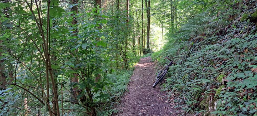 Es warten aber auch immer wieder schöne Single-Trail-Passagen zwischen den Seen...