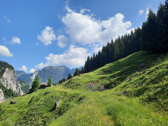 Bei der Rindereralpe zweigt der Weg in einen Wanderweg ab