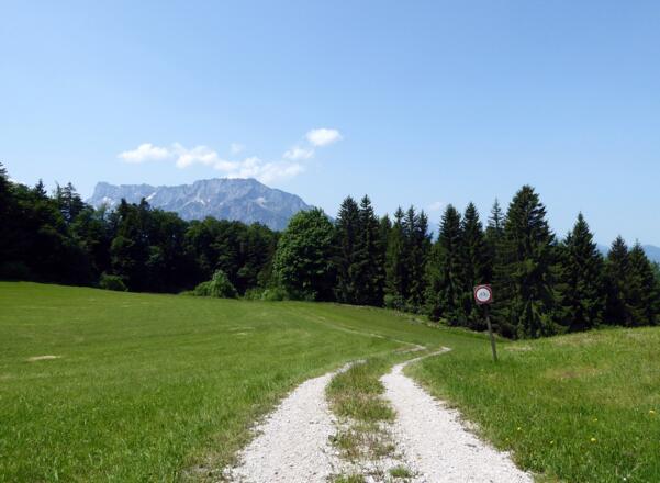 Hier verläuft der vorübergehend unmarkierte Weg kurz vor der Abzweigung Vollererhof nach St. Jakob.