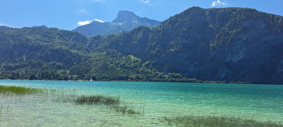 Der Mondsee - ein Naturjuwel...