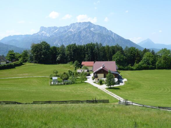 Der Rückweg führt von St. Jakob am Thurn nach Puch.