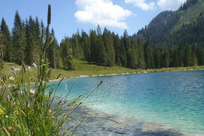 Waterbasin Ifen zomer 2