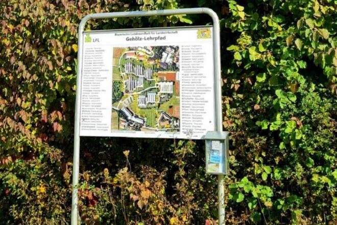 Gehölzlehrpfad Schautafel