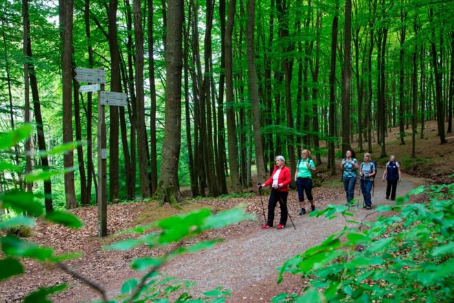 Wandern im RÄUBERLAND