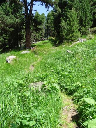Wanderweg zum Mutsbühl