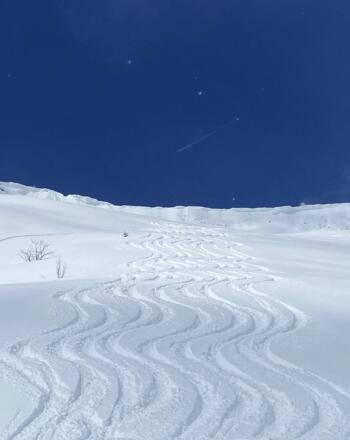 Spuren im Schnee