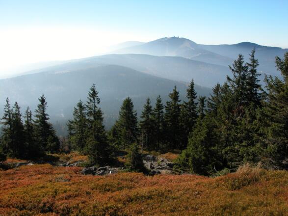 Gr. Arber vom Zwercheck