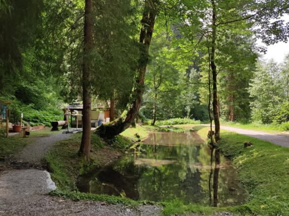 Der schattige Grillplatz lädt zum Verweilen ein