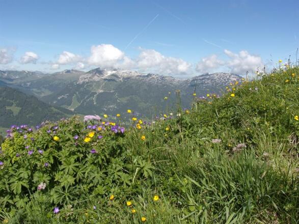 Blick zum  Ifen