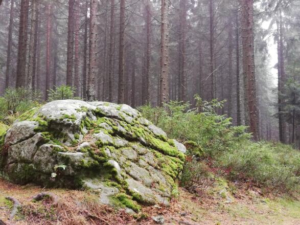 S06_Foto_KnobaradeStein2