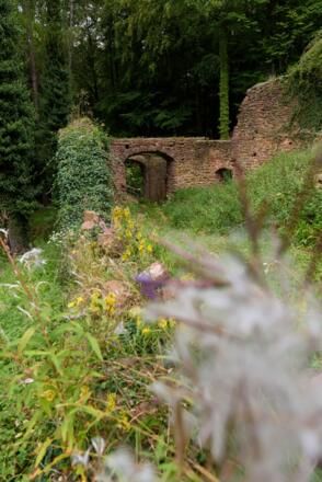 Burgruine Wildenstein