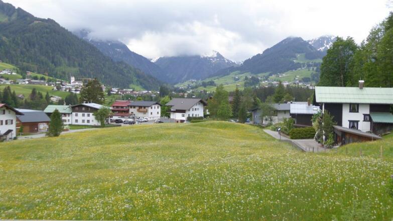 Frühlingserwachen