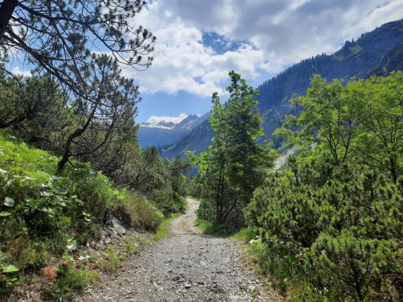 Breiter Wanderweg auf dem Rückweg Richtung Bad Rothenbrunnen