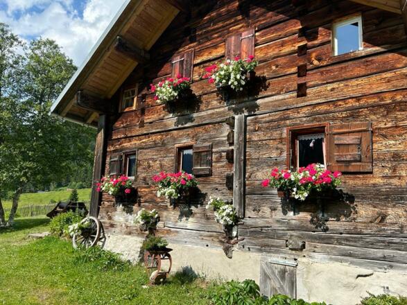 Untere Wiesalpe Mittelberg Sommer