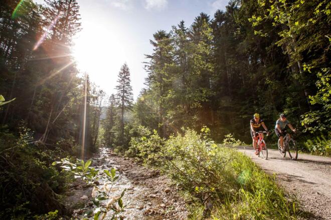 Leisling Bach in Goisern nach Bad Aussee