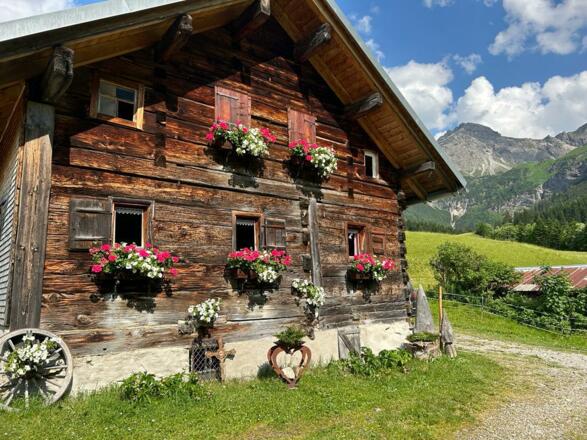 Untere Wiesalpe Mittelberg_Sommer