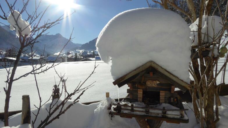 Vogelhaus mit Schneehut