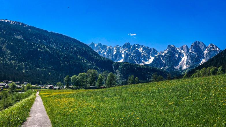 Gosaubachweg mit Gosaukamm