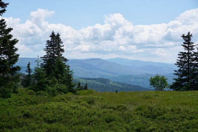 Blick vorm Zwercheck zu Gr. Falkenstein und Gr. Rachel