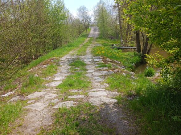 Weihteichdamm nach Süden (Kefermarkt)