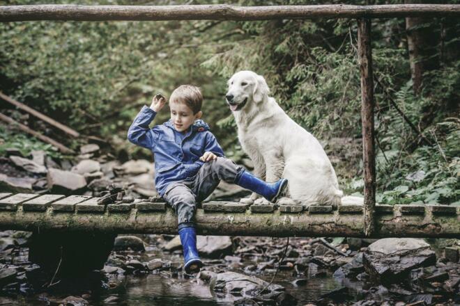 Hunde sind herzlich willkommen