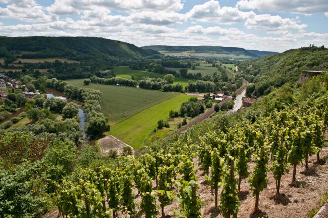 Blick ins Saaletal