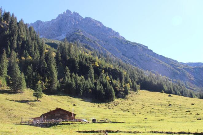 Naturalpe Gemstel Schönesboden Mittelberg Sommer