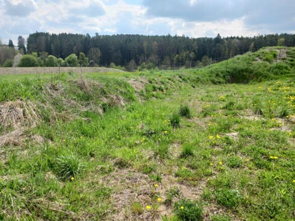 P+R Retentionsbecken 2