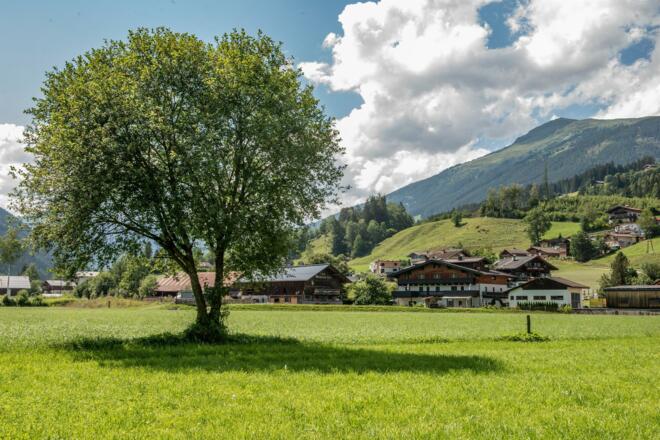 Gästehaus Dreier Sommer4