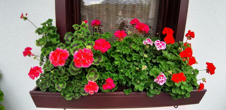 20191003_093803[7902]