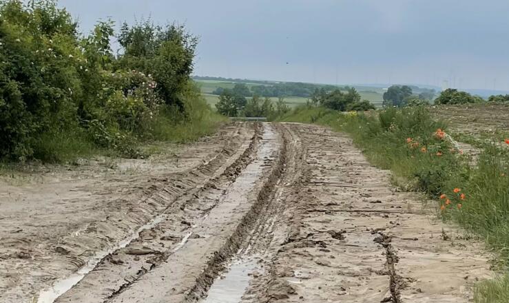 Jede Menge Mutavelli