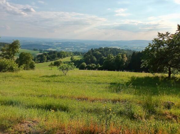 Blick zum Gäuboden bei Obernebling