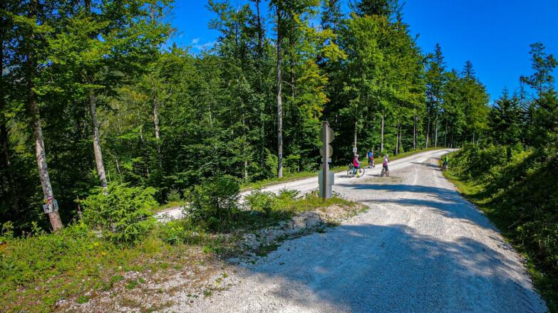 Spitzkehre links halten