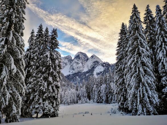 Der Winterwanderweg Brunbachsee in Gosau